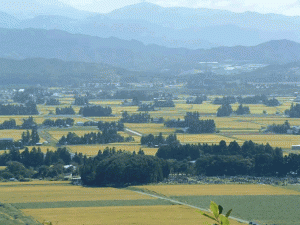 日本一美しい村　2011-0513-1359_1